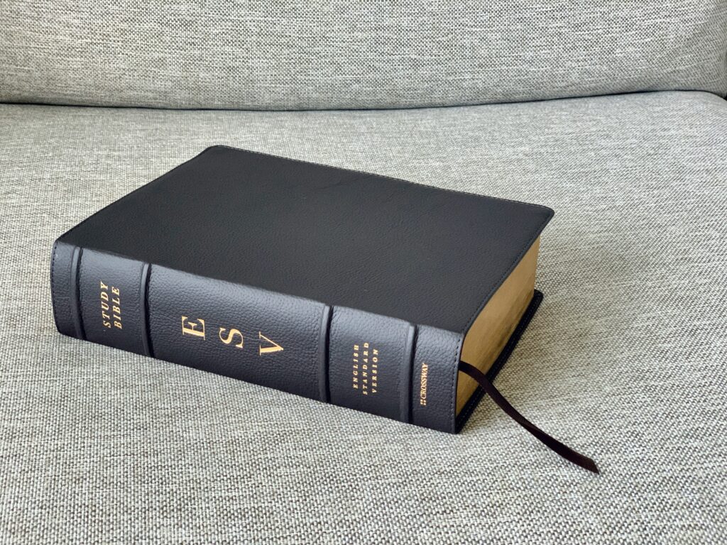 esv study bible imitation leather